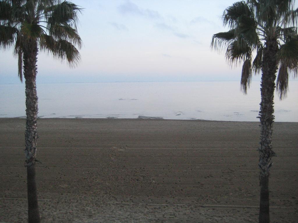 Apartamento Illa Mar Sant Carlos de la Ràpita Rum bild