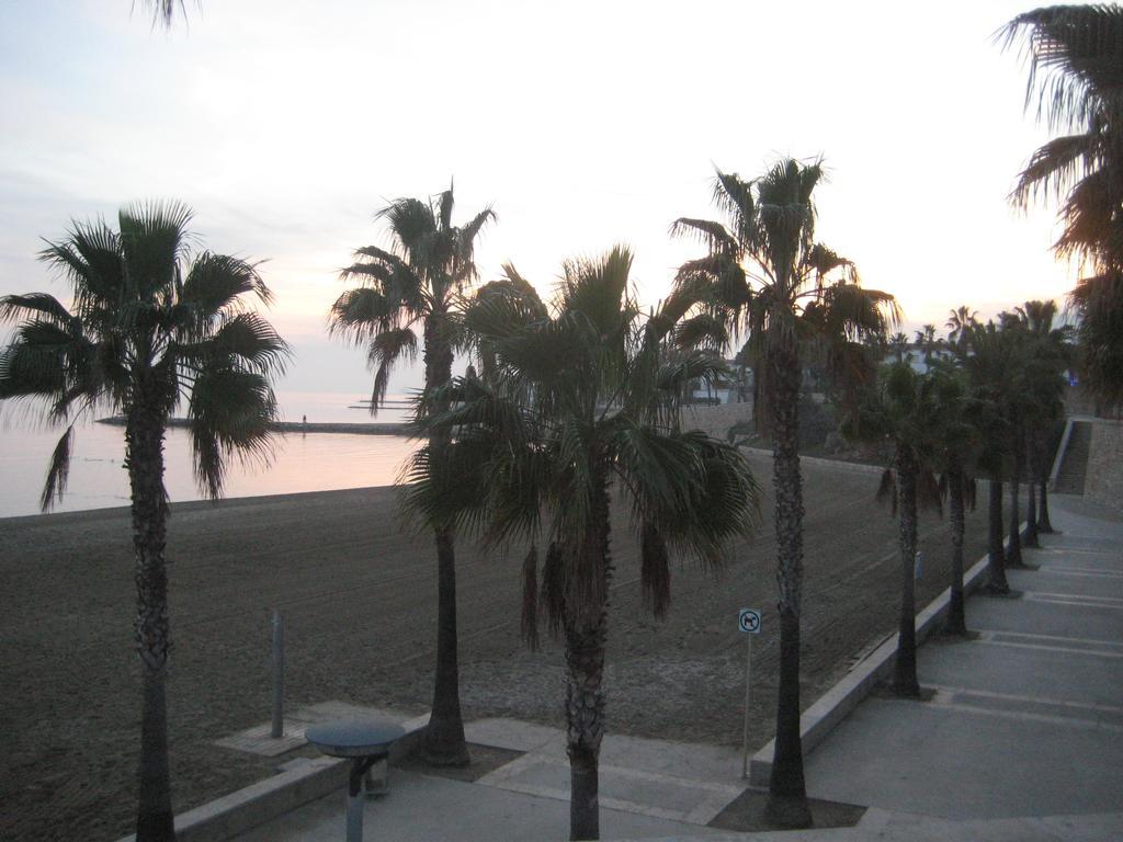 Apartamento Illa Mar Sant Carlos de la Ràpita Rum bild